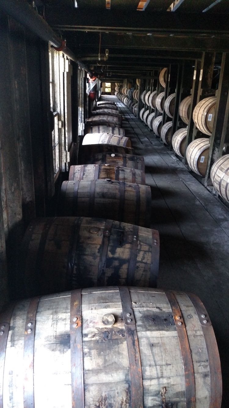 Whiskey Barrels resting